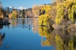 Mirror Pond 