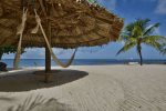 Beachfront palapa with hammocks