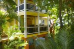 Parrots Paradise, surrounded by lush tropical vegetation.