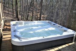 Cozy Cabin- Secluded, Dog Friendly, 2 bedrooms, 2 bath with Hot Tub, Wi-Fi Sleeps 4