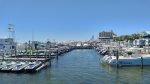 Destin Harbor Short Drive