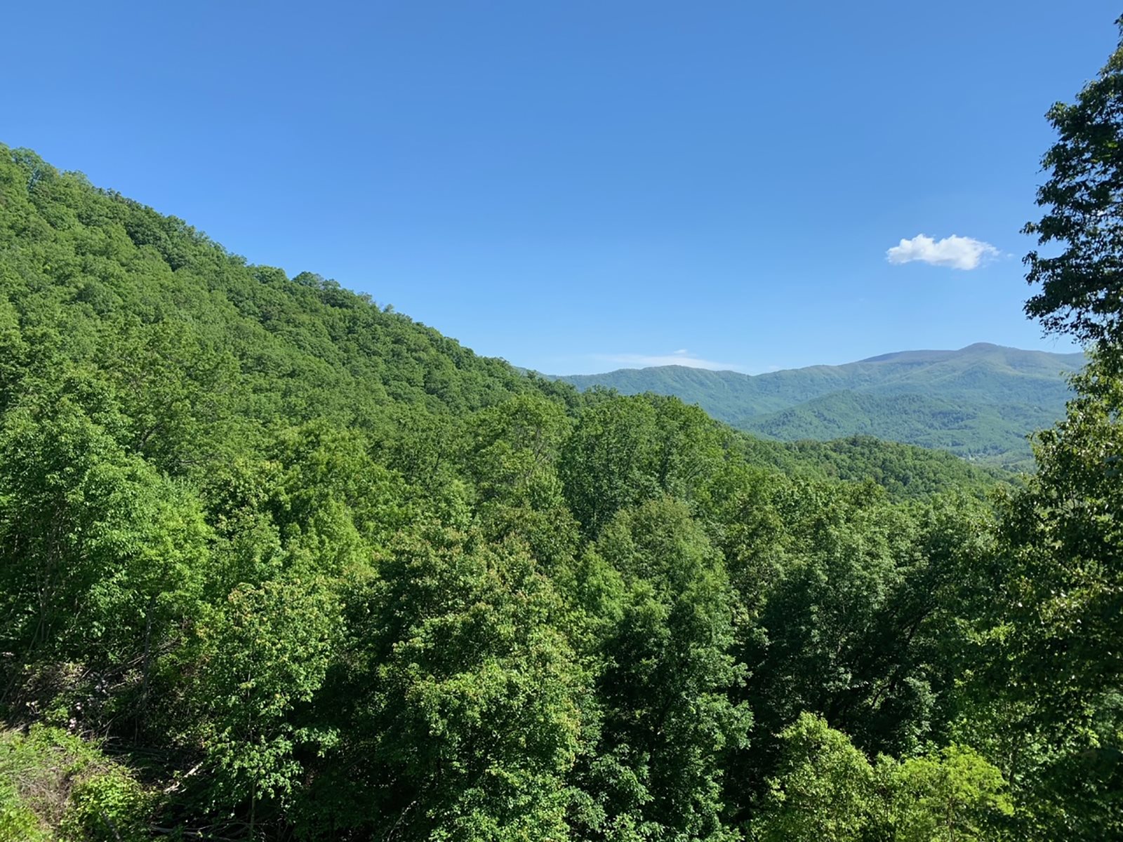 Three Bedroom Log Cabin with Long Range Mountain Views near Bryson City ...