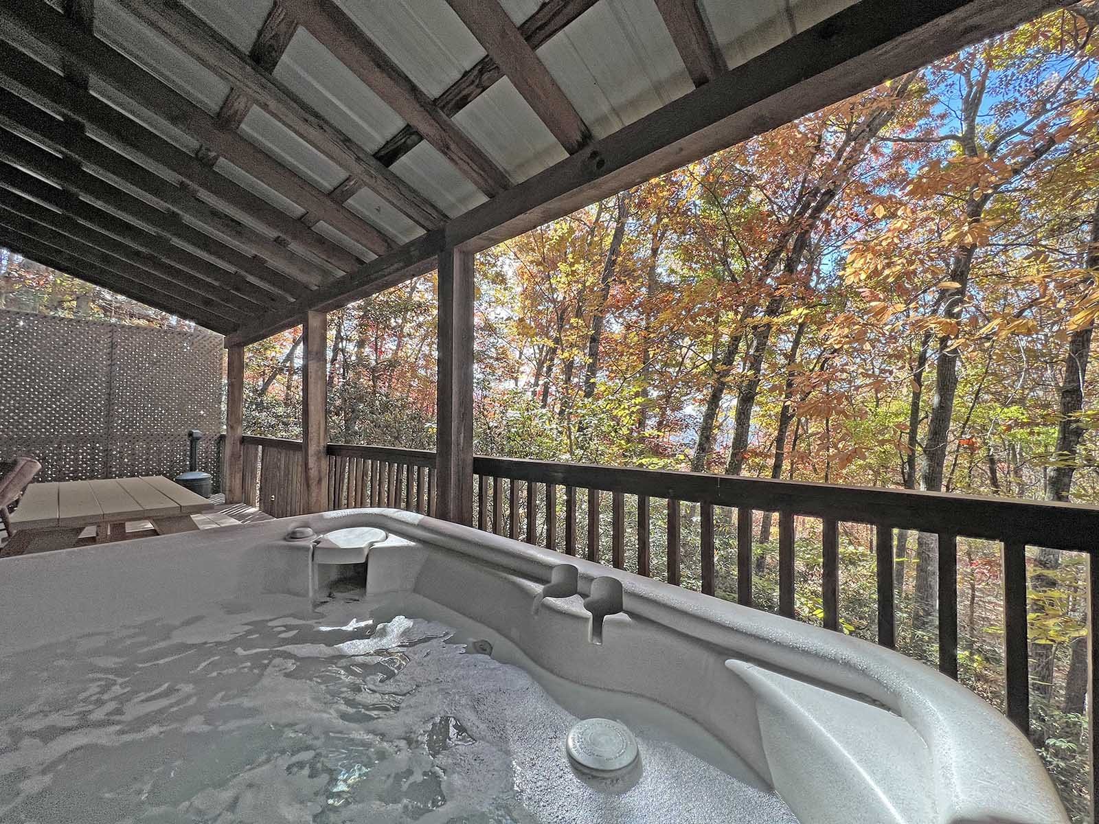 Bryson City NC Cabin Rentals Pet Friendly Log Cabin