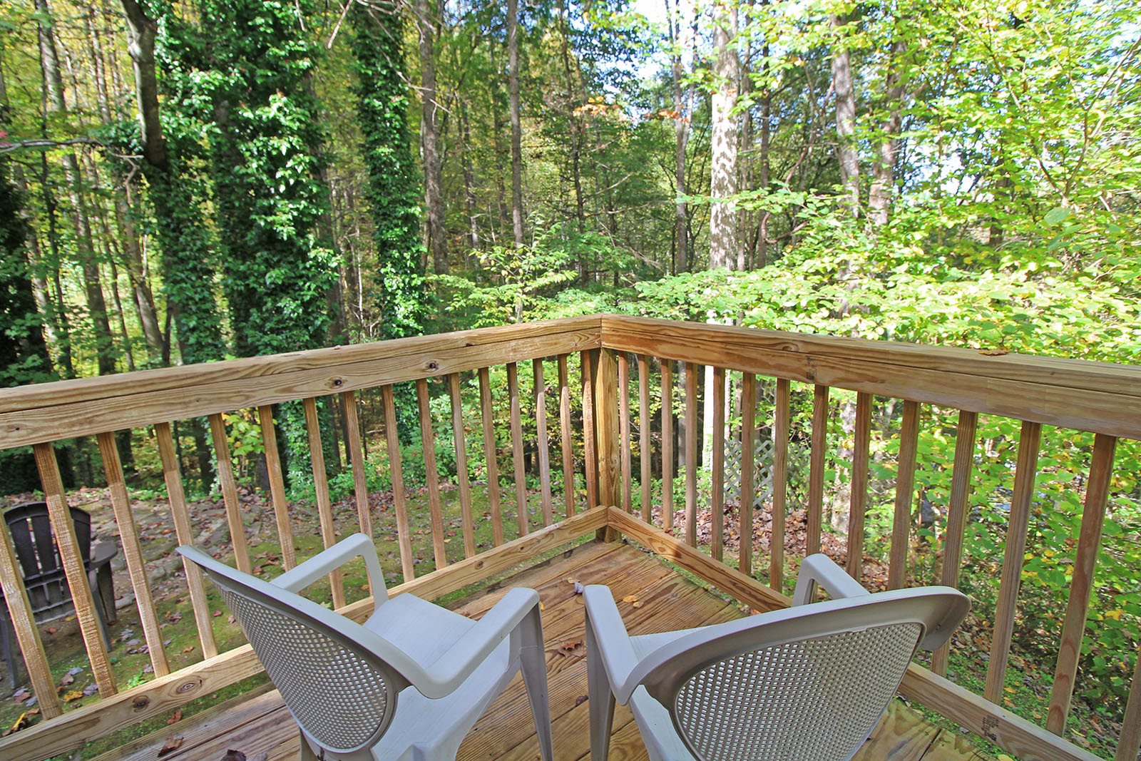 TwoBedroom Cabin in Nantahala Near Rafting Bryson City NC