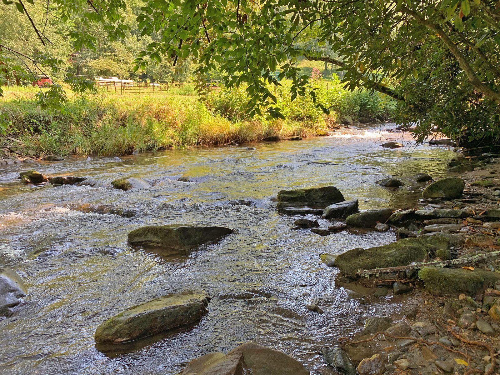 Creekside Cabin Rental | Smoky Mountains | Bryson City NC