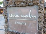 Aina Nalu