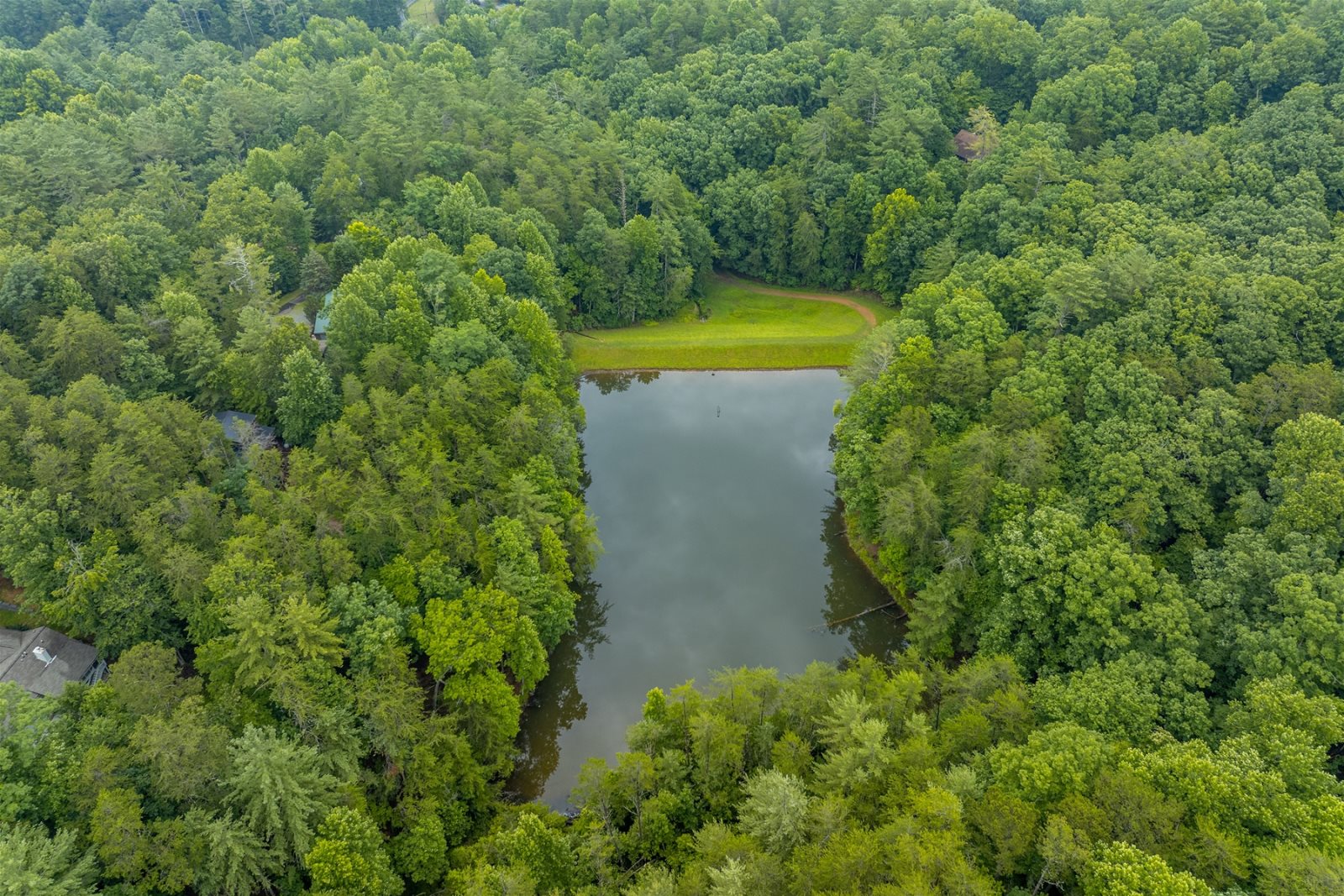 Walnut Mountain Cabins/ Pet Friendly Cabins/ 3 bedroom cabins/ North Rentals/ Ellijay