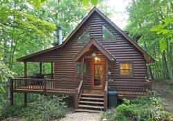 Wolf's Den Dog-Friendly Family Cabin w/ Wood Fireplace, Firepit, Gas Grill, Private Hot Tub