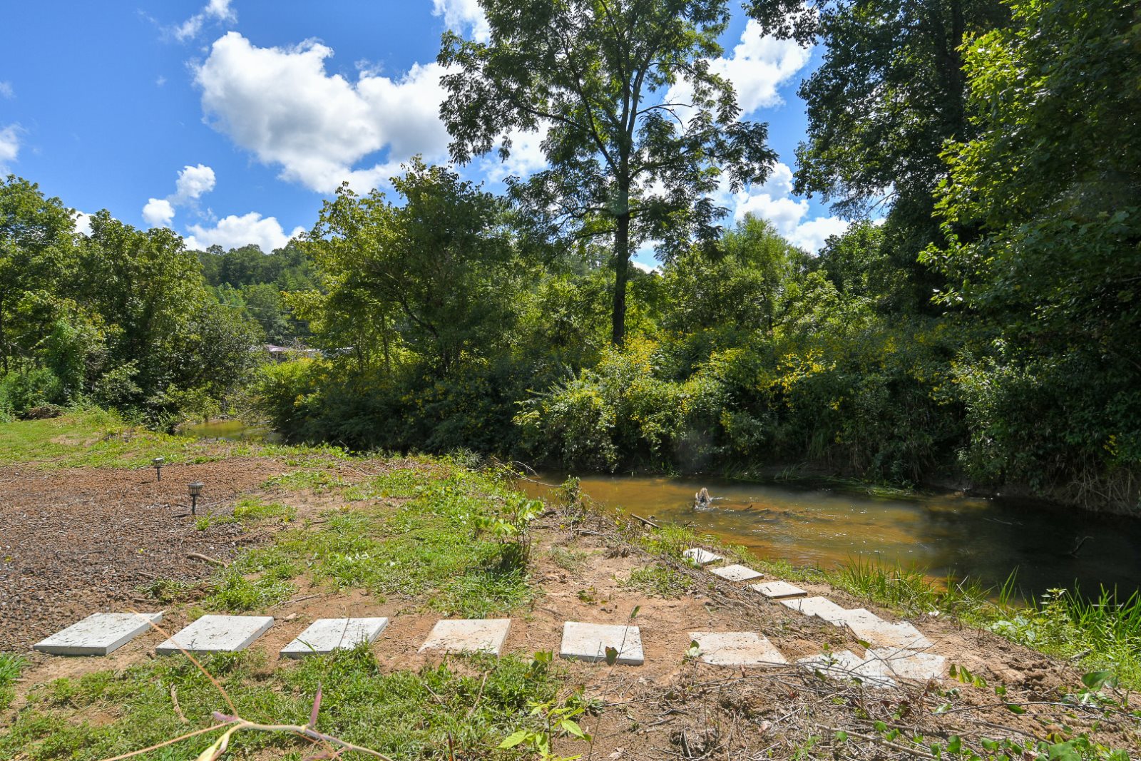 Caney Creek Luxury Creekfront, Tiny Cabin Hot Tub, Wifi, Firepit