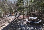 Cardinal Creek- Picnic Area