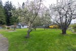 Orchard in bloom