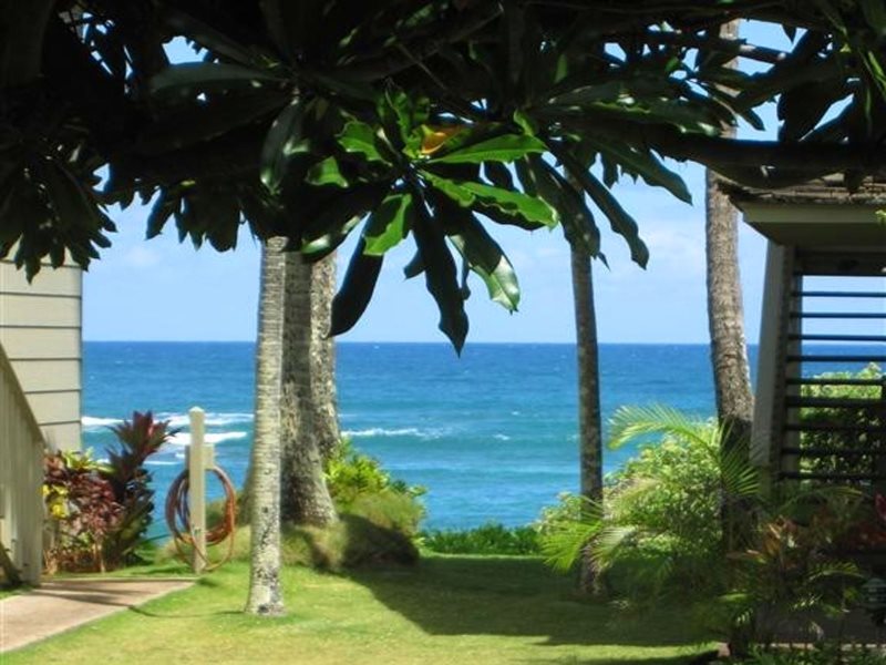 Kapaa Sands Kauai Oceanfront Condo Rentals Hula Now Offers Kauai Oceanfront Condo Rentals On The Magical Garden Island Of Kauai From The Beauty Of The Pristine Beaches To The Scenic Valleys