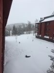 View from Unit 