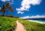 Look for turtles and dolphins along your walk. And during the winter months- humpback whales 