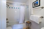 Hall bathroom with combination shower/tub