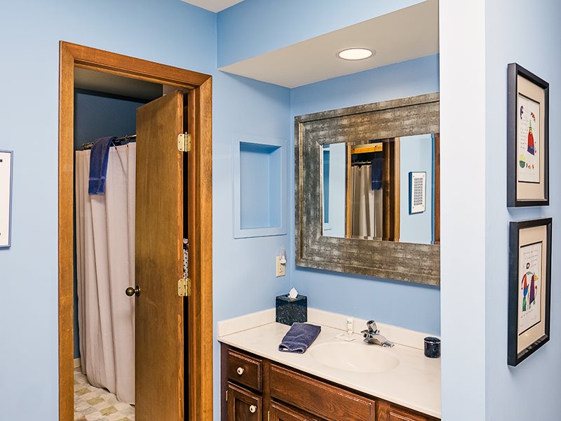 homes for sale birchwood farms harbor springs mi