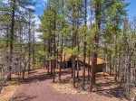 Our house is hidden in the pines