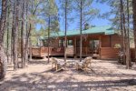 Pine tree filled backyard