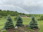 Rainbow over the back yard