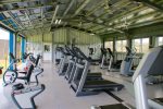 Cardio and Weight Machines and Free Weights