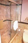 Primary Ensuite Bathroom Walk-in Shower