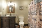 Lower level bathroom