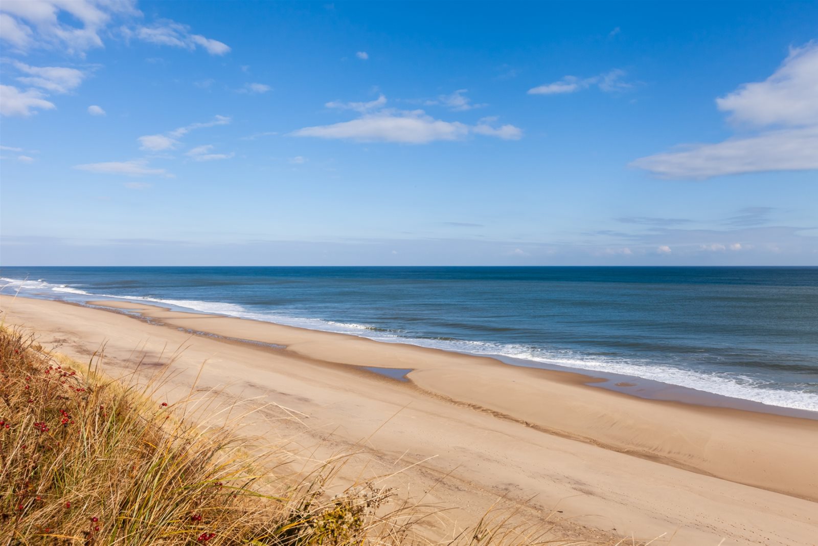 Dog friendly Truro Oceanfront Vacation Rental on Ballston Beach