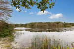 Take the canoe and explore the natural beauty of Blueberry Pond. Book today 