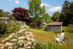 A sprawling backyard