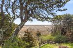 Marsh view 