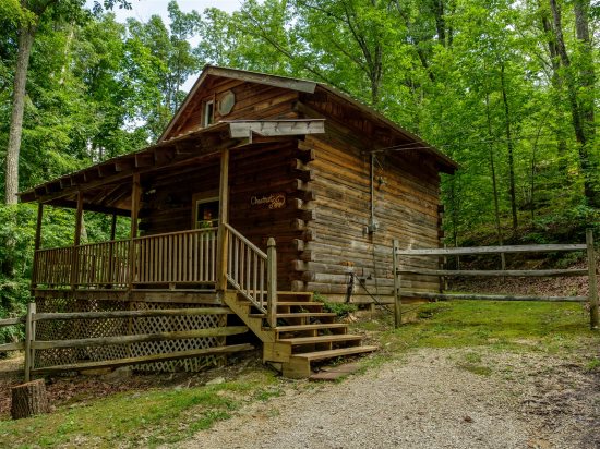 Chop Chestnut Cabins