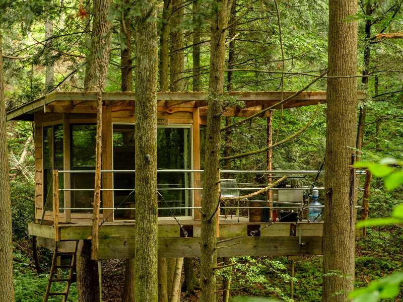 Flying Squirrel Tree House Red River Gorge Cabin Rental