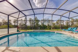 422 - Beautiful 4 bed villa with own private pool overlooking conservation land near Disney