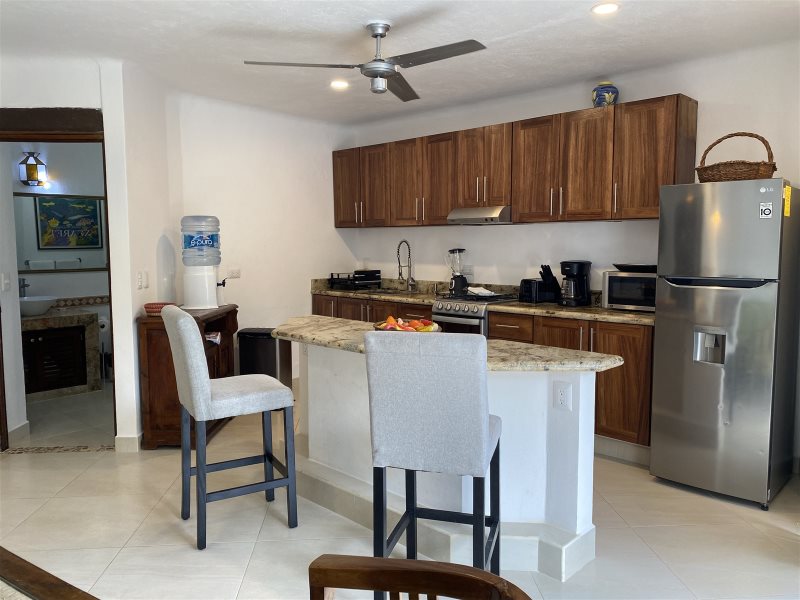 La Palapa 407 Vistalegre Puerto Vallarta Rentals