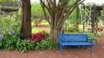 Sit and relax under a tree