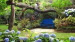 Hidden swing to listen to birds