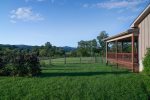 pasture