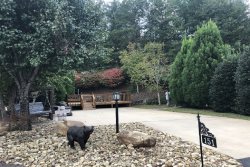 Apple Valley Farm 151 