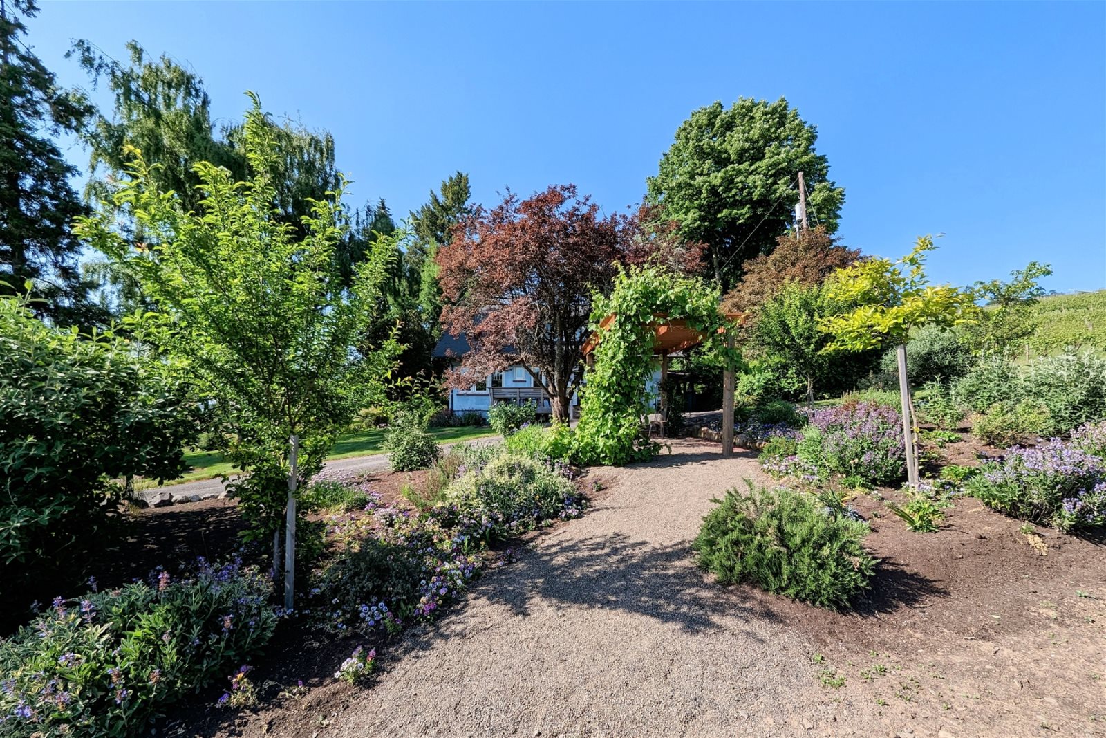 Chehalem House vacation rental, Newberg Oregon.