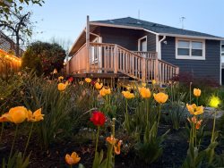 Sip & Stay Cottage