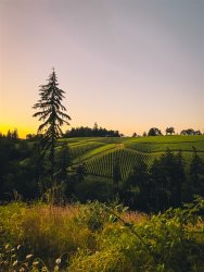 Wildfern Ranch