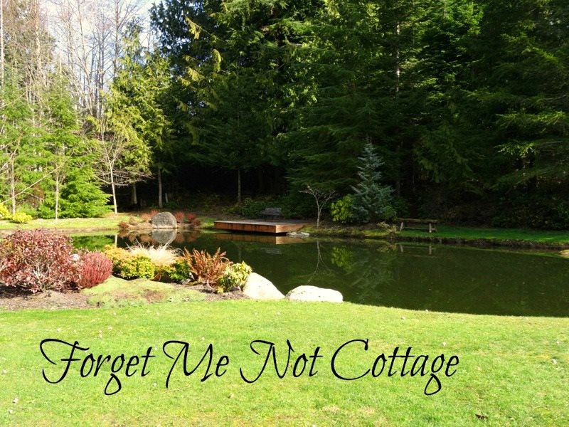 Forget Me Not Cottage | Brigadoon/Sequim Vacation Rentals