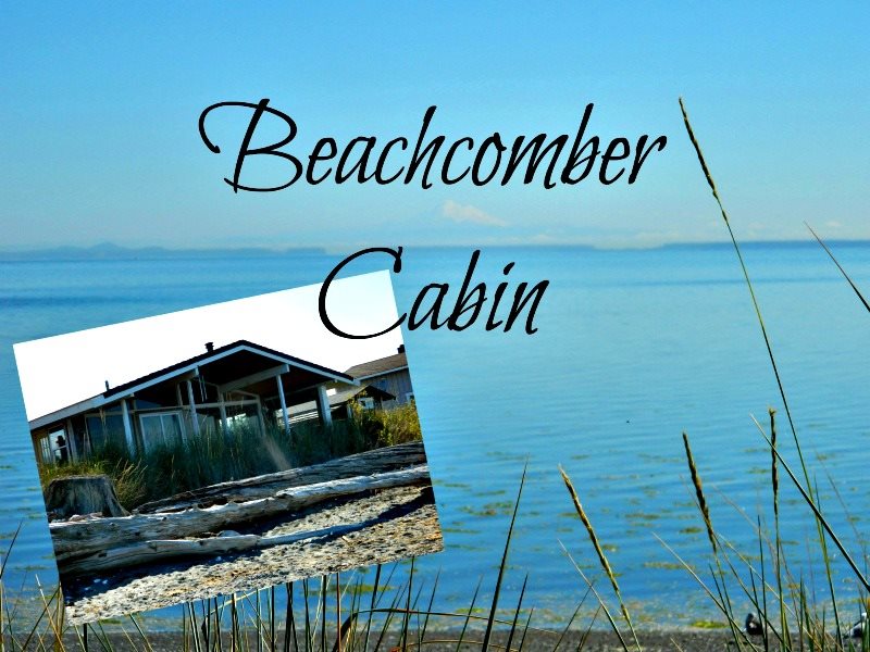 Beachcomber Cabin Brigadoon Sequim Vacation Rentals