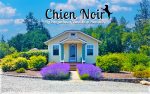 ChienNoir: House on Five Acres, Olympic Mountain Views, Pet Friendly