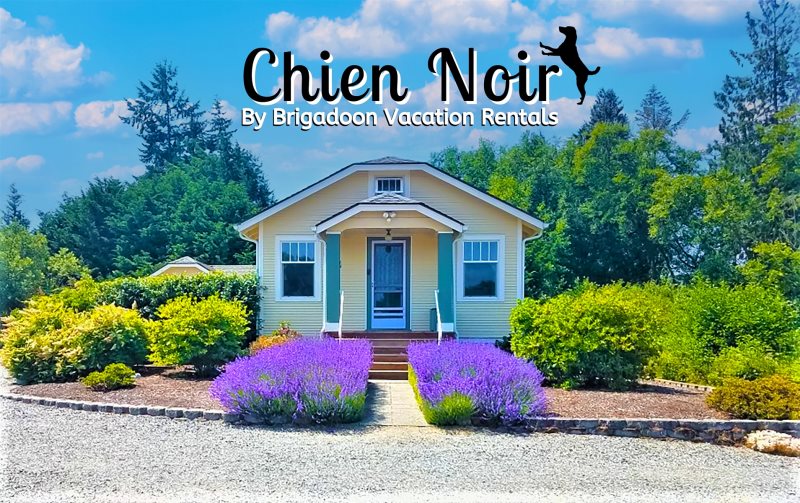 Chien Noir - Pet friendly home with mountain views