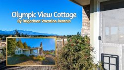 Olympic View Cottage in the Country, Immaculate