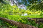 Nice pond on the property 
