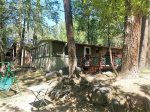 River Bear Cabin