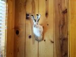 Inspiration for the name of cabin