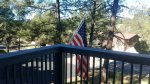 Blue Sky Cabin- Cozy Cabins LLC - Ruidoso, NM